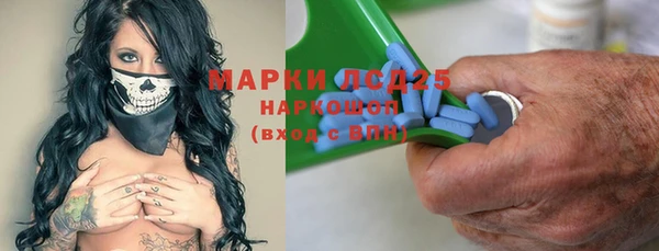 стаф Магас