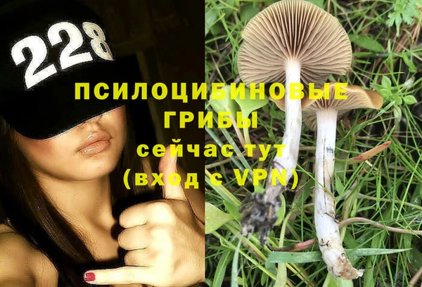 ALPHA PVP Балахна