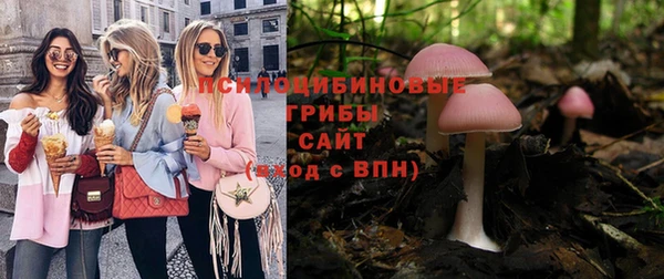 спайс Баксан