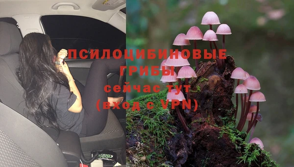 каннабис Майский