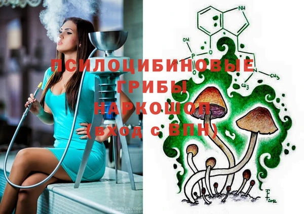 МДПВ Арсеньев
